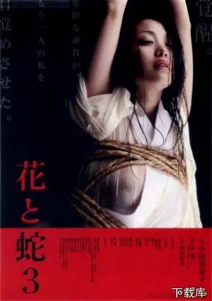 《花与蛇3》：禁锢之美与欲望深渊的挣扎，探索SM背后的东方奇幻之旅