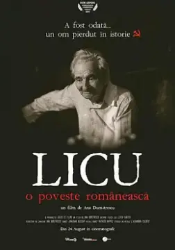 《利库，来自罗马尼亚》：一场荒诞的现实之旅，幽默背后的深刻拷问