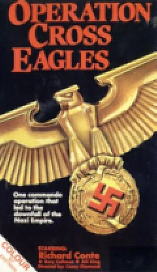 《十字鹰行动》：惊险刺激！海陆空全面开战，能否成功追逐珊瑚，解救人质？